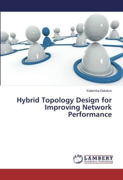 portada Hybrid Topology Design for Improving Network Performance
