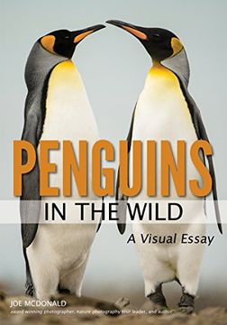 portada Penguins in the Wild (en Inglés)