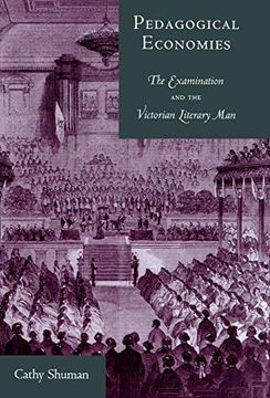 portada Pedagogical Economies: The Examination and the Victorian Literary man (en Inglés)