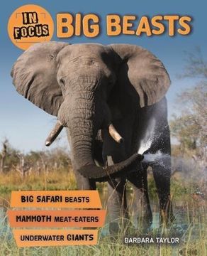 portada In Focus: Big Beasts (Paperback) 