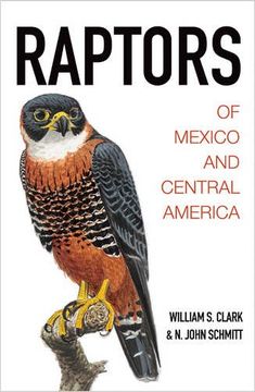portada Raptors of Mexico and Central America (in English)