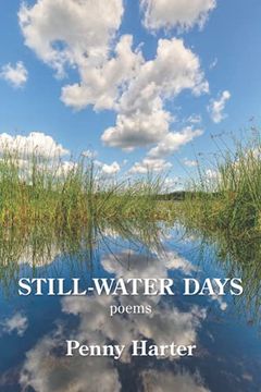 portada Still-Water Days (en Inglés)