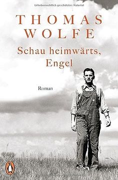 portada Schau Heimwärts, Engel: Roman (en Alemán)