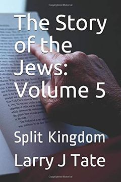 portada The Story of the Jews: Volume 5: Split Kingdom (in English)