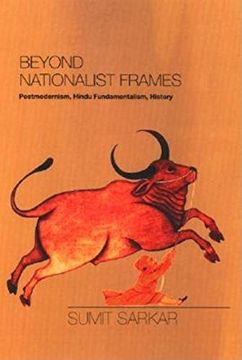 portada Beyond Nationalist Frames: Postmodernism, Hindu Fundamentalism, History (in English)