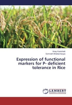portada Expression of functional markers for P- deficient tolerance in Rice