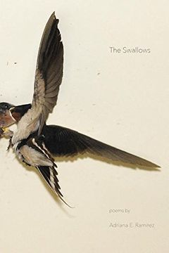 portada The Swallows