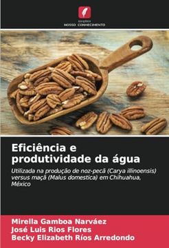 portada Eficiência e Produtividade da Água: Utilizada na Produção de Noz-Pecã (en Portugués)