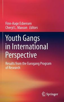 portada youth gangs in international perspective