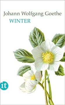 portada Winter (Insel Taschenbuch) (in German)