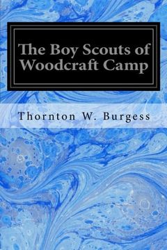 portada The Boy Scouts of Woodcraft Camp