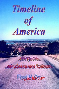 portada timeline of america: sound bytes from the consumer culture
