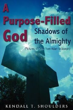 portada a purpose-filled god: shadows of the almighty (en Inglés)