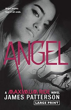 portada Angel: A Maximum Ride Novel (in English)