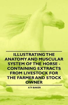 portada illustrating the anatomy and muscular system of the horse - containing extracts from livestock for the farmer and stock owner