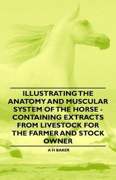 portada illustrating the anatomy and muscular system of the horse - containing extracts from livestock for the farmer and stock owner (en Inglés)