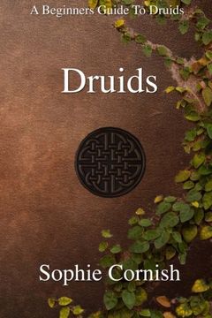 portada Druids: A Beginners Guide To Druids