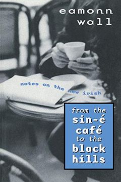 portada From the Sin-E Cafe to the Black Hills: Notes on the new Irish (en Inglés)