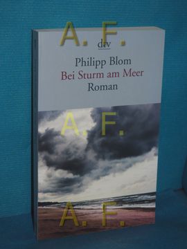 portada Bei Sturm am Meer: Roman. Dtv , 14638