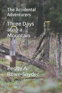 portada Three Days atop a Mountain: The Accidental Adventurers (en Inglés)
