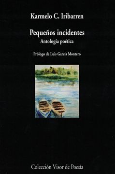 portada Pequeños Incidentes. Antología Poética: Antología Poética: 978 (Visor de Poesía) (in Spanish)