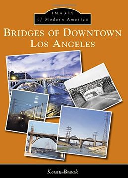 portada Bridges of Downtown Los Angeles (en Inglés)