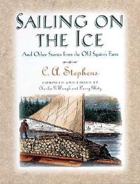 portada sailing on the ice (in English)