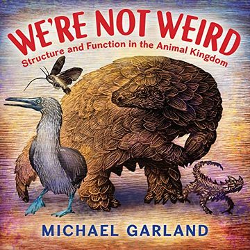 portada We'Re not Weird: Structure and Function in the Animal Kingdom 