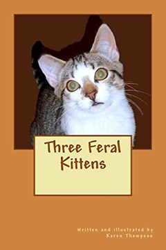 portada Three Feral Kittens