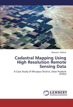 portada Cadastral Mapping Using High Resolution Remote Sensing Data