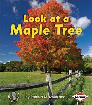 portada Look at a Maple Tree (in English)