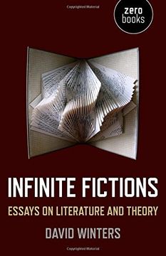 portada Infinite Fictions: Essays on Literature and Theory (en Inglés)