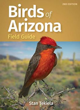 portada Birds of Arizona Field Guide (Bird Identification Guides) (en Inglés)