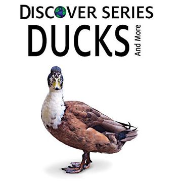 portada Ducks (in English)