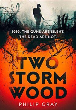portada Two Storm Wood (in English)
