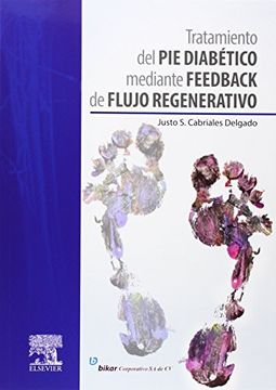 portada Tratamiento del pie diabético mediante feedback de flujo regenerativo (in Spanish)