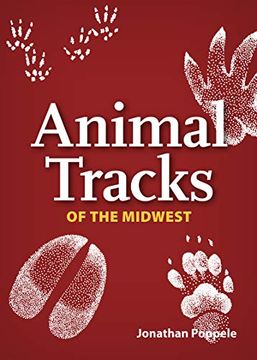 portada Animal Tracks of the Midwest Playing Cards (Nature's Wild Cards) (in English)