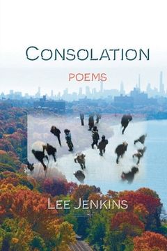 portada Consolation; Poems (en Inglés)