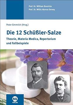 portada Die 12 Schüssler-Salze (en Alemán)