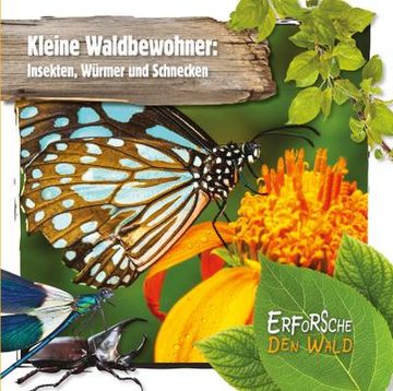 portada Kleine Waldbewohner: Insekten, Würmer und Schnecken (en Alemán)