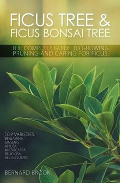 portada Ficus Tree and Ficus Bonsai Tree. The Complete Guide to Growing, Pruning and Caring for Ficus. Top Varieties: Benjamina, Ginseng, Retusa, Microcarpa, Religiosa all included. (in English)