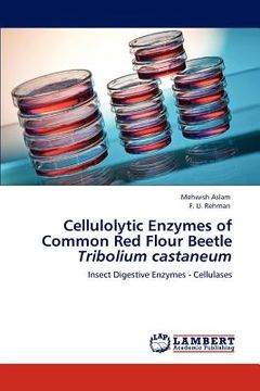 portada cellulolytic enzymes of common red flour beetle "tribolium castaneum (en Inglés)