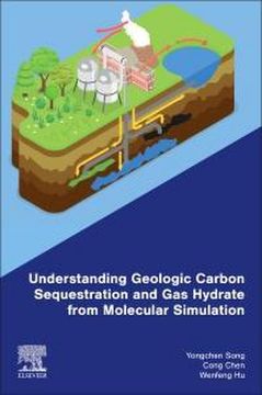 portada Understanding Geologic Carbon Sequestration and gas Hydrate From Molecular Simulation (en Inglés)