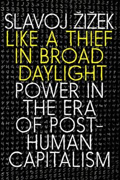 portada Like a Thief in Broad Daylight: Power in the era of Post-Human Capitalism (en Inglés)