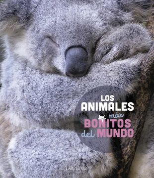 portada Los Animales mas Bonitos del Mundo (in Spanish)