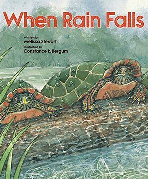 portada When Rain Falls (Place For. ) (in English)