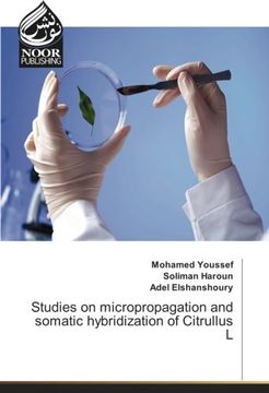 portada Studies on micropropagation and somatic hybridization of Citrullus L