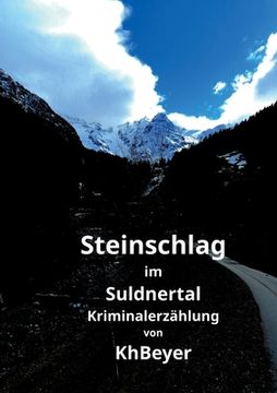 portada Steinschlag im Suldnertal: Kriminalerzählung (en Alemán)