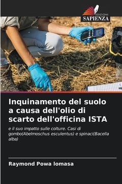 portada Inquinamento del suolo a causa dell'olio di scarto dell'officina ISTA (in Italian)