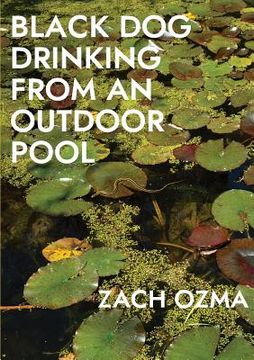 portada Black Dog Drinking from an Outdoor Pool (in English)